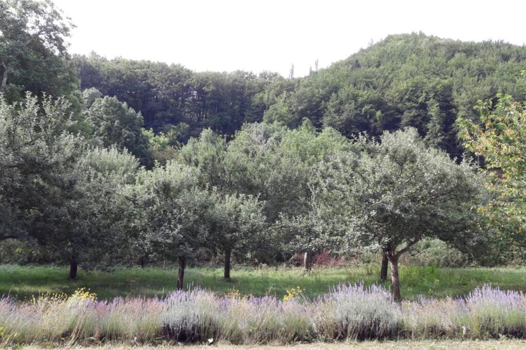 Gite "Entre Champsaur Et Valgodemard" Saint-Jacques-en-Valgodemard Buitenkant foto