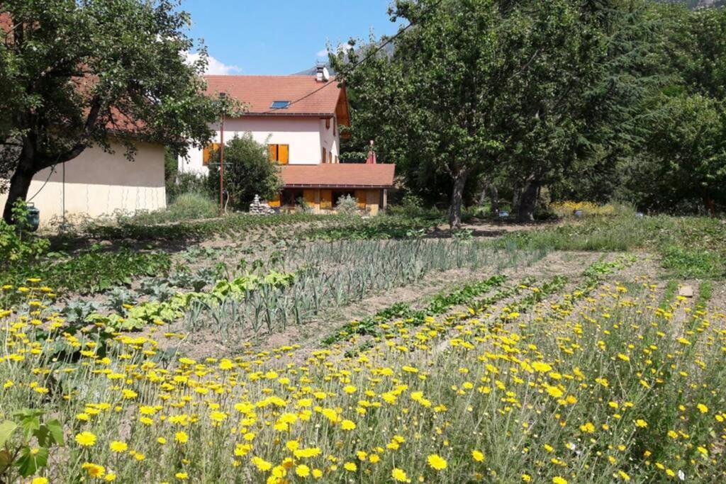 Gite "Entre Champsaur Et Valgodemard" Saint-Jacques-en-Valgodemard Buitenkant foto